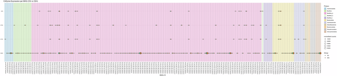 Fig. 11: Bubble plots show the different expression levels of significantly expressed CAZymes by different MAGs in CE4 compared to the CG group.