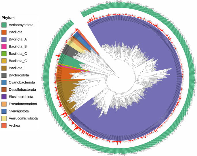 Fig. 2: Microbial phylogenetic tree representing 514 metagenome-assembled genomes (MAGs) recovered from the caeca of chickens across all dietary groups.