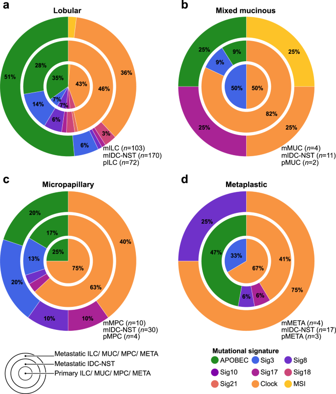 Fig. 5: Mutational signatures in primary and metastatic histologic special types of breast cancer.