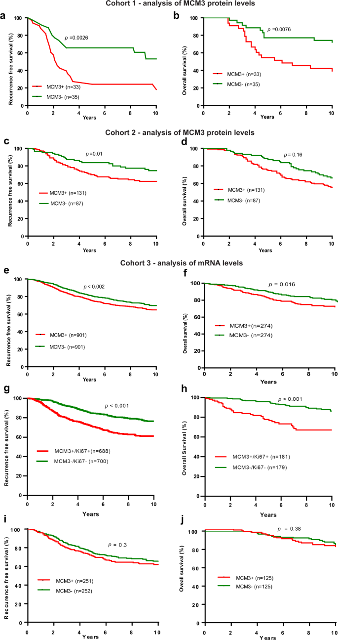 Fig. 2: Association of MCM3 expression with clinical outcome in endocrine treated-patients.