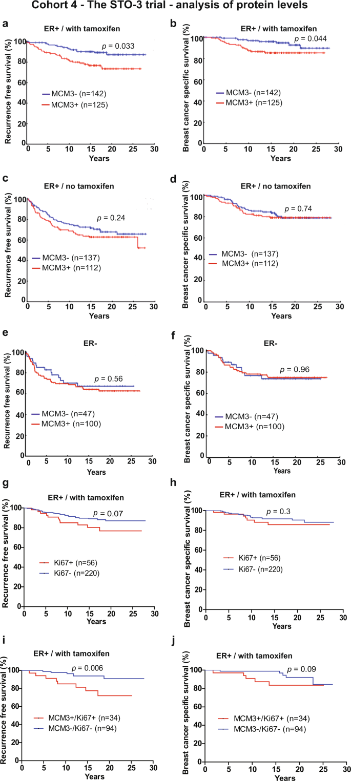 Fig. 3: Association of MCM3 expression with clinical outcome in tamoxifen-treated patients.