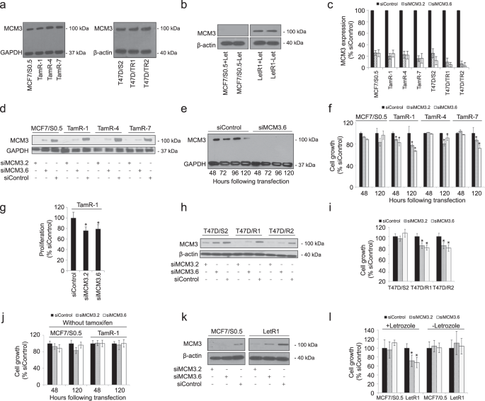 Fig. 4: Resistant cells regain sensitivity to tamoxifen and letrozole following MCM3 knockdown.