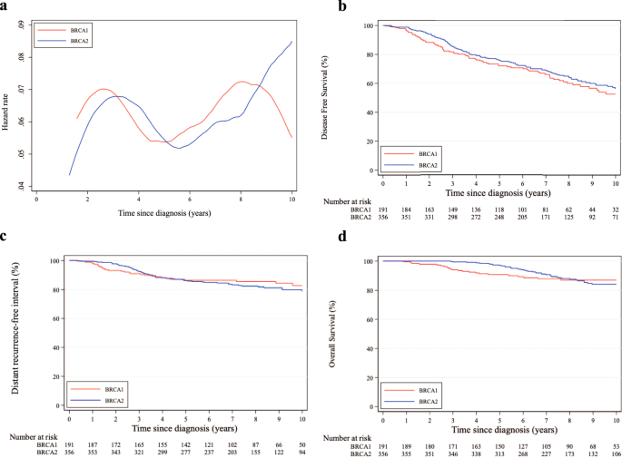 Fig. 2: Comparison between patients with germline BRCA1 and BRCA2 pathogenic variants and hormone receptor-positive disease.