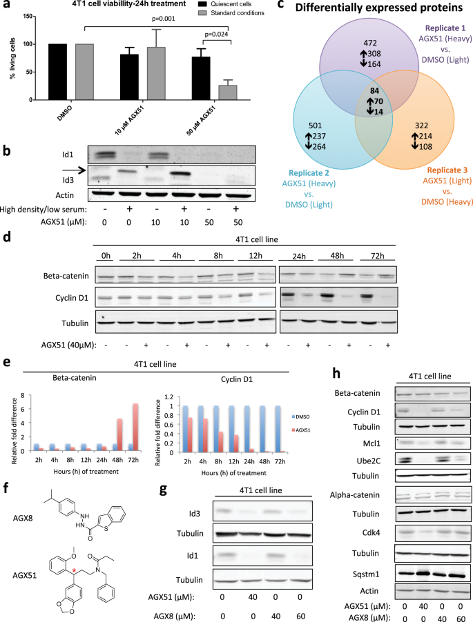 Fig. 4: Assessing the effect of AGX51 on quiescent cells and the whole proteome.