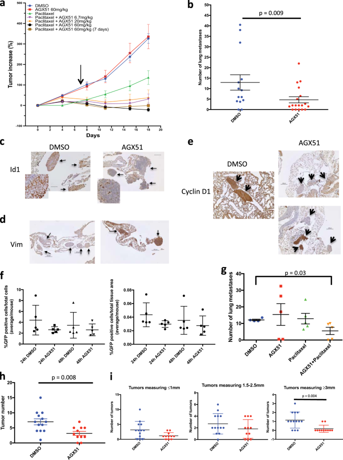 Fig. 5: Effects of AGX51 on tumor growth and metastasis.