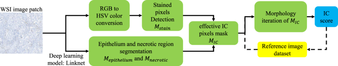 Fig. 6: Overall pipeline of the AI-assisted model.