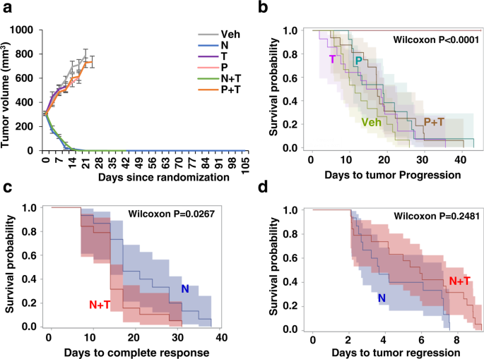 Fig. 2: Neratinib (N) containing anti-HER2 regimens effectively achieve tumor regression and eradication in a patient-derived xenograft model that is refractory to trastuzumab (T) and pertuzumab (P).