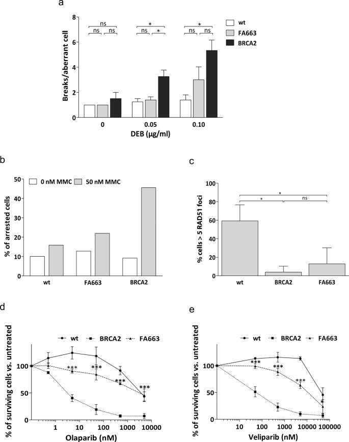 Fig. 2: FA663 primary fibroblasts display partial BRCA2 activity.