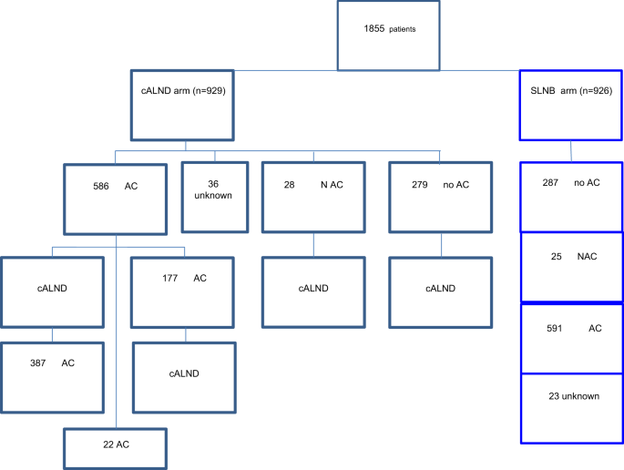 Fig. 2: Flow chart. Chemotherapy according to each arms, CALND and SLNB alone.