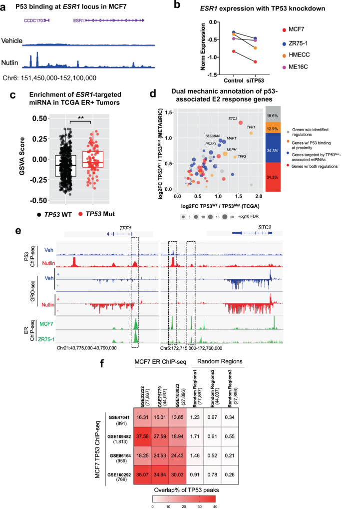 Fig. 4: Mutant p53 links to ER repression via loss of transactivation and gain of ER-targeting miRNA.
