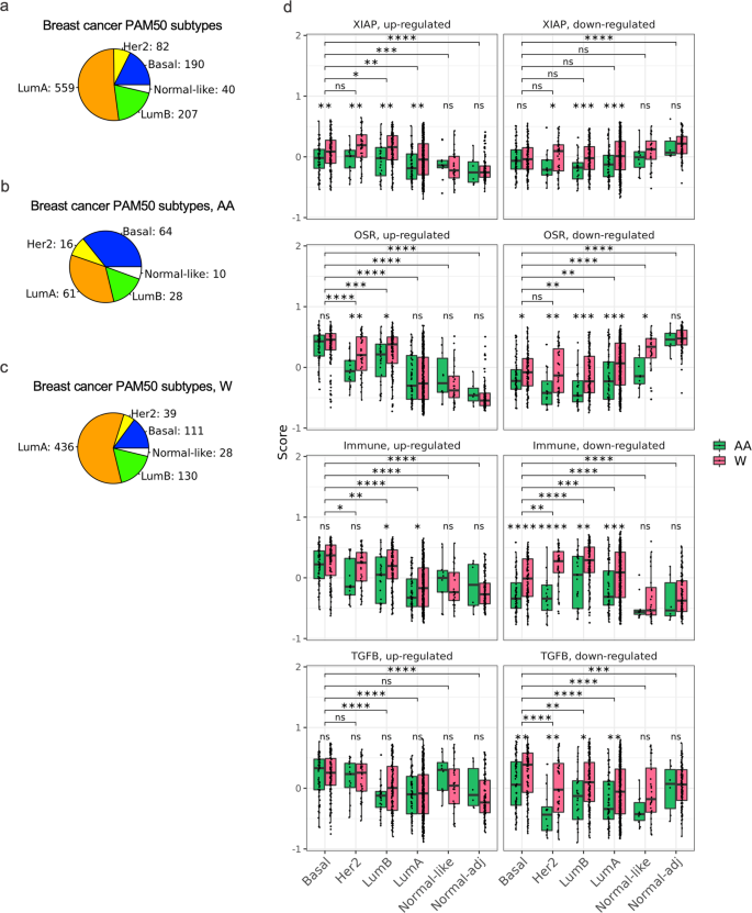 Fig. 1: Number of breast cancer samples in TCGA by definition, race, and PAM50 subtypes.