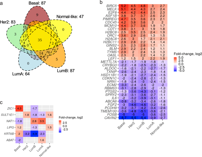 Fig. 3: Intersection among DE-SN.