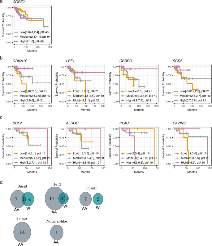 Fig. 6: Survival analysis of the DE-SN.