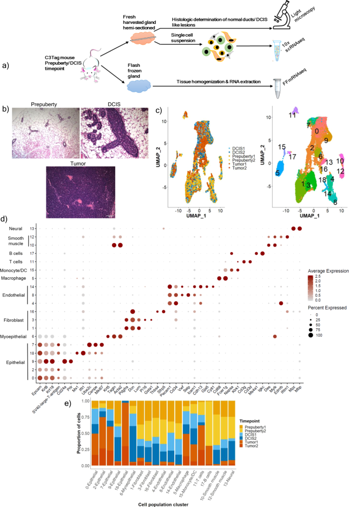 Fig. 1: The overall single-cell RNAseq experimental set up and description of all single-cell populations identified per C3Tag disease stage.