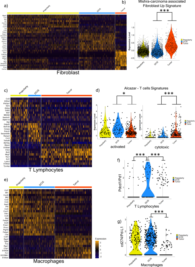 Fig. 3: Microenvironment subpopulations and gene signatures across the disease states.