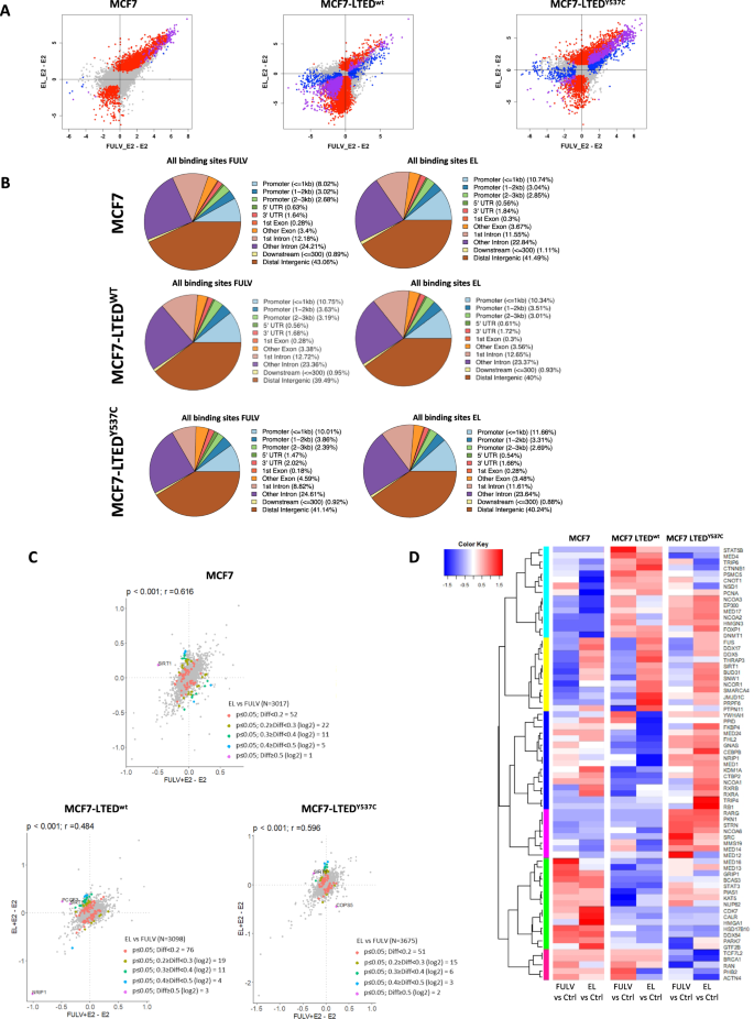 Fig. 4: Effect of fulvestrant and elacestrant on the ER-binding in MCF7, MCF7-LTEDwt and MCF7-LTEDY537C.