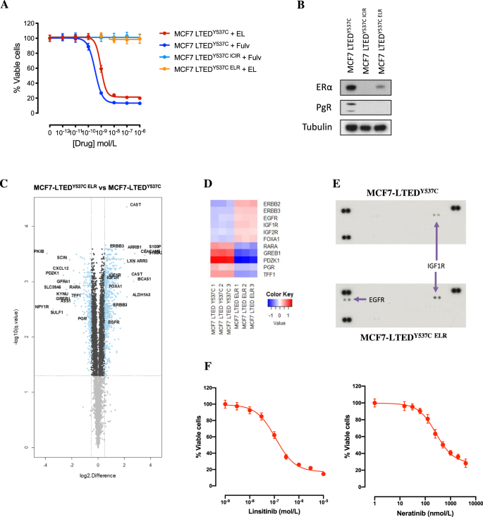 Fig. 7: Mechanisms of resistance to elacestrant.