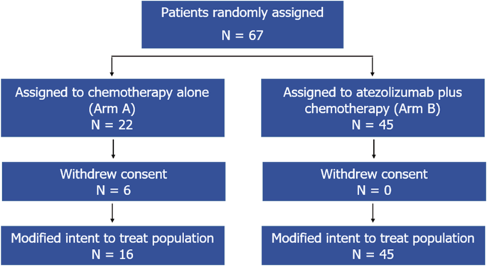 Fig. 1: CONSORT diagram.