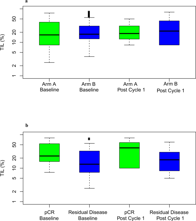 Fig. 4: TIL analyses.