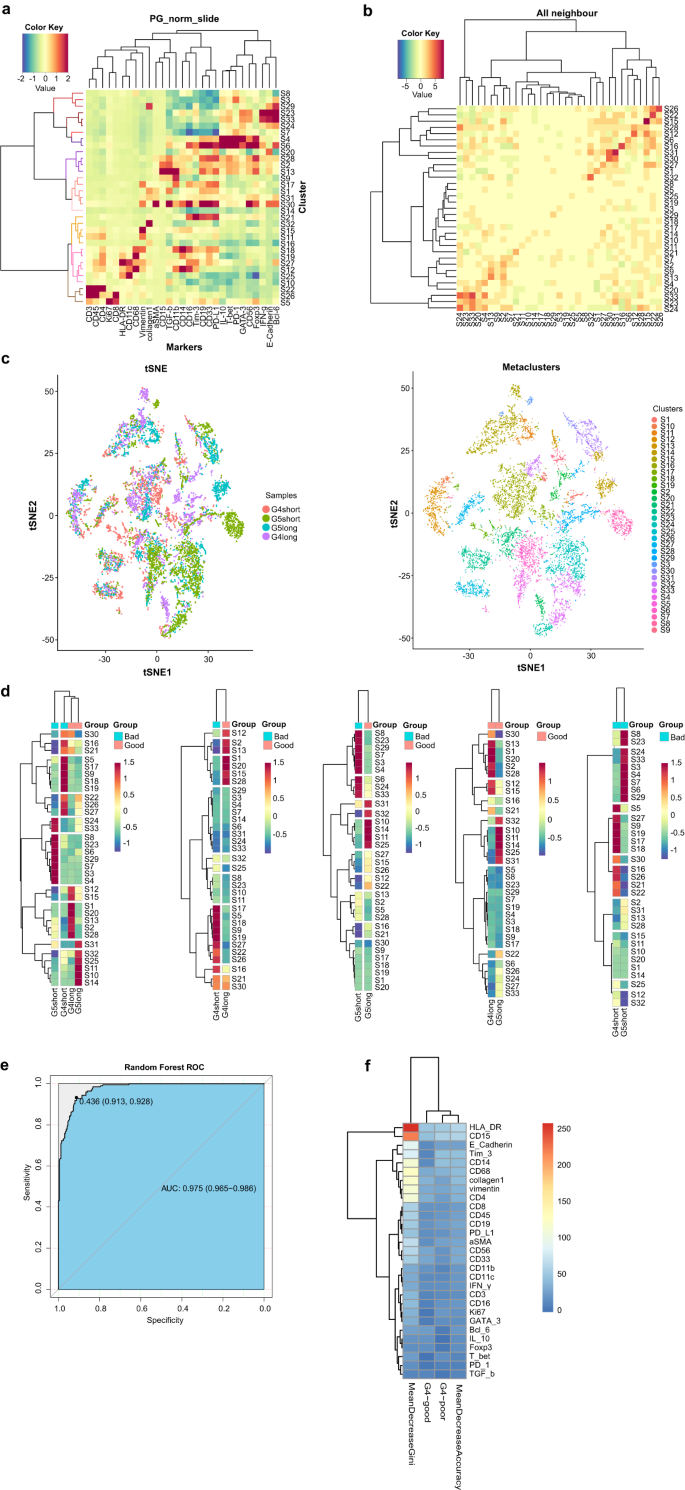 Fig. 2: Different spatial distributions of various immunophenotypes were associated with diverse prognoses in Miller-Payne 4/5 patients.