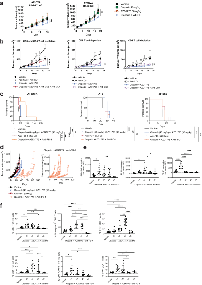 Fig. 3: Combination of checkpoint blockade with DDR inhibitor treatment confers benefit to tumours with moderate levels of pre-existing T cells, however, treatment resistance emerges via immune editing.