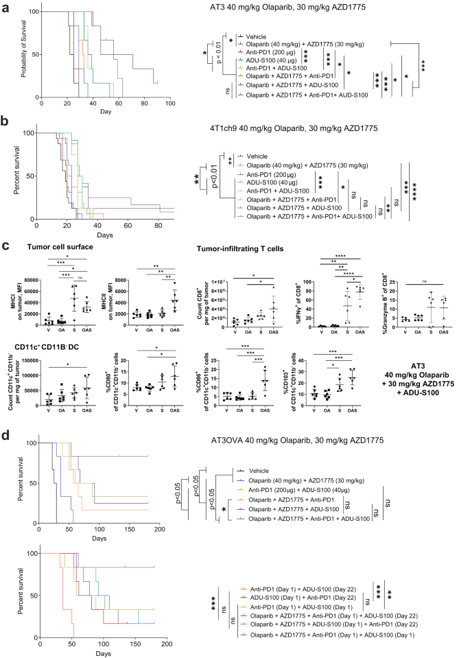 Fig. 4: Resistance to olaparib and AZD1775 can be overcome with the addition of STING agonist.