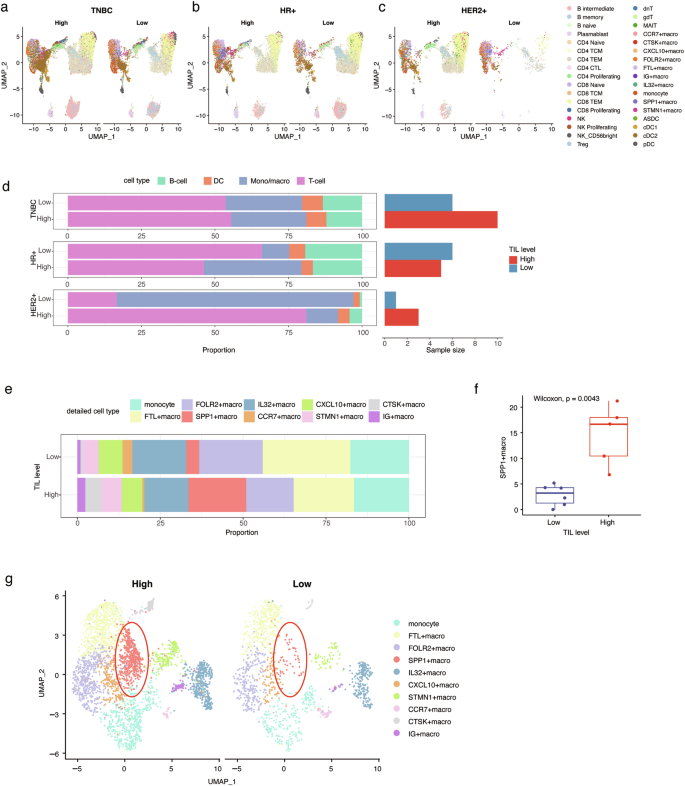 Fig. 2: Comparison of cell type proportion according to TIL levels revealed increased SPP1+ macrophages in TIL-high HR+ breast cancer.
