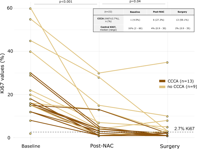 Fig. 1: Ki67 levels from baseline to surgery.