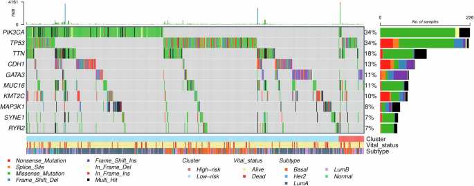 Biological correlates associated with high-risk breast cancer patients identified using a computational method