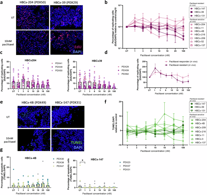 Fig. 1: Viability assessment of the PDX tumor tissue after paclitaxel treatment.