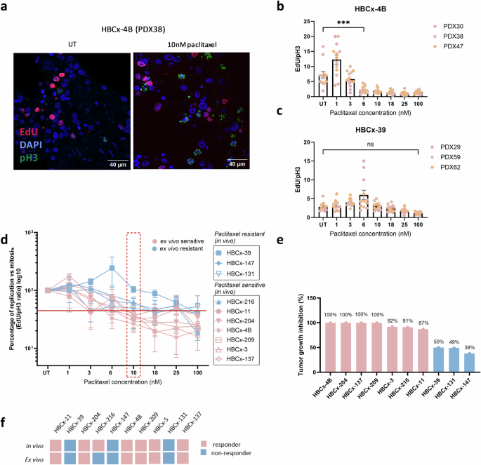 Fig. 2: Paclitaxel sensitivity assessed by the REMIT assay.