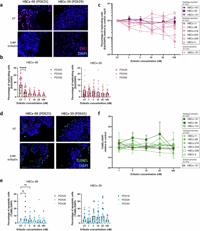 Fig. 3: Viability levels of PDX tissue slices after eribulin treatment.