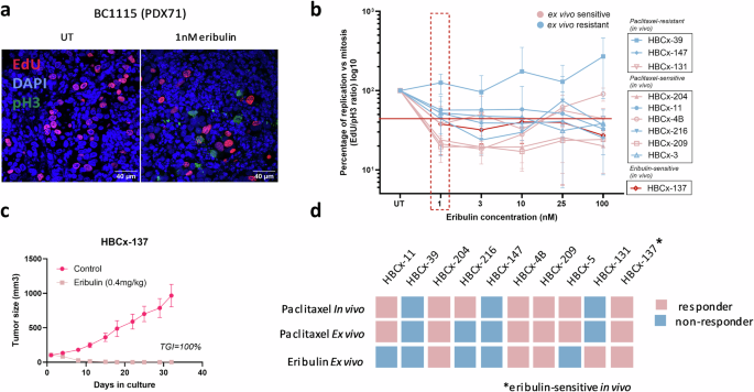 Fig. 4: Eribulin sensitivity assessment using the REMIT assay.