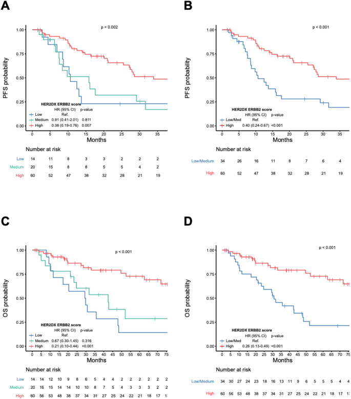 Fig. 2: Association of HER2DX ERBB2 score and PFS and OS.
