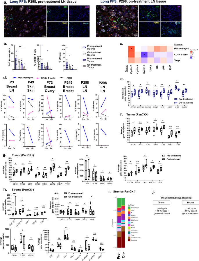 Fig. 5: Gene enrichment associated with T cell activation emerge during CDK4/6i treatment.