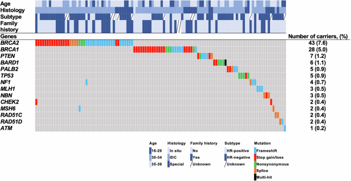 Fig. 2: Germline variants in 26 cancer susceptibility genes in young-onset breast cancer.