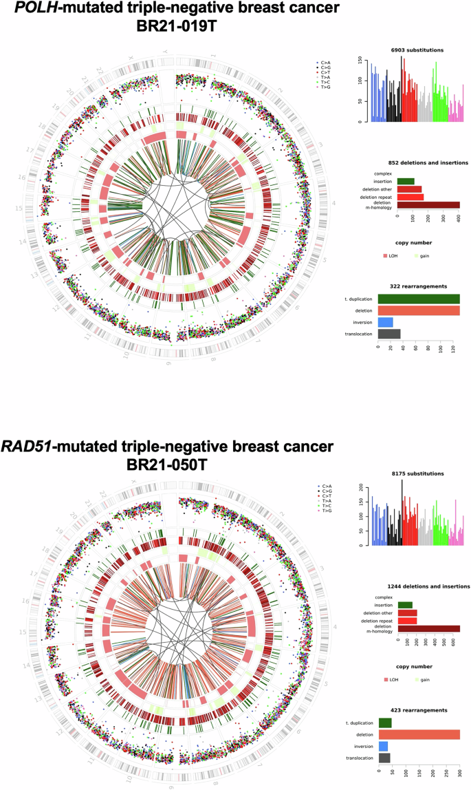 Fig. 5: Circos plots of POLH and RAD51-mutated breast cancers.