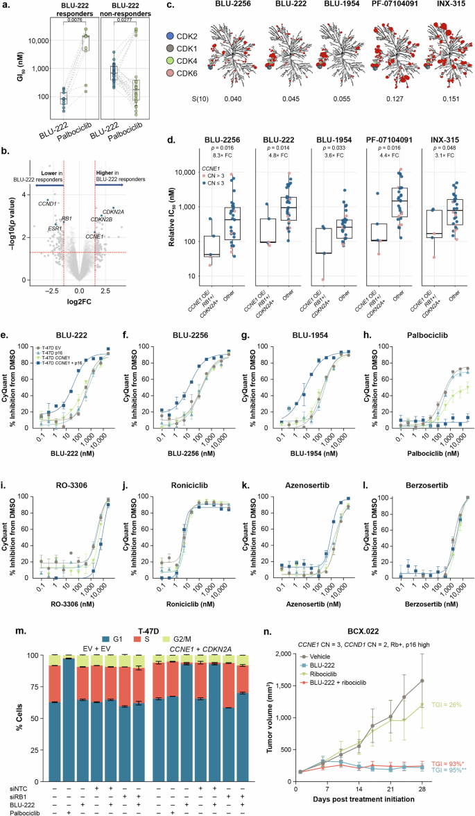 Fig. 1: Expression of CDK-Rb-E2F pathway modulators predicts CDK2i single-agent sensitivity in breast cancer cell lines.