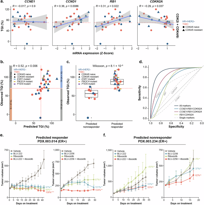 Fig. 5: Combinatorial cyclin D1, cyclin E1, p16, and Rb biomarker signature predicts response to BLU-222+ribociclib in breast PDX models.