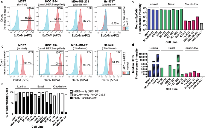 Fig. 1: Assessment of EpCAM and HER2 expression in cell lines representing major human breast cancer subtypes.