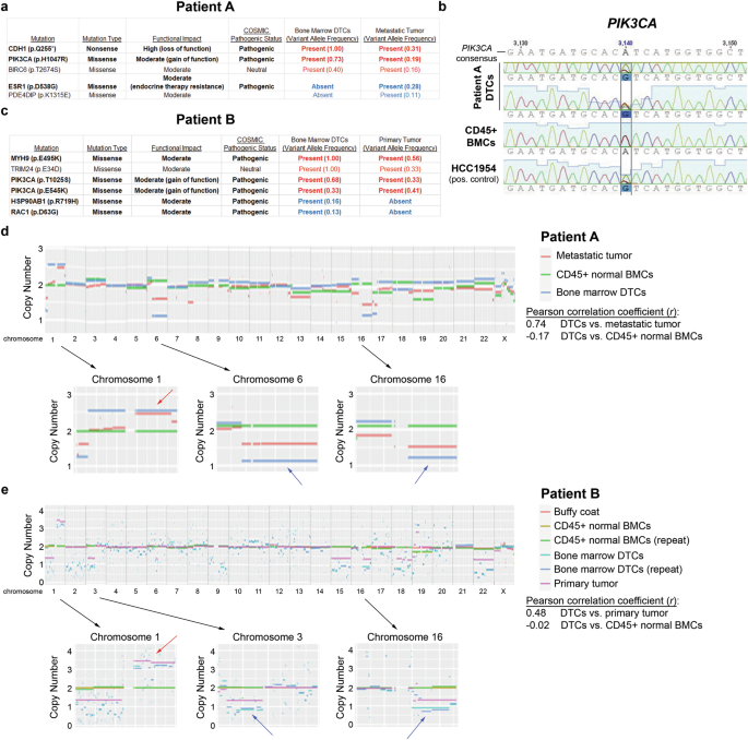 Fig. 5: Genomic profiling of bone marrow DTCs in comparison to primary or metastatic tumors.