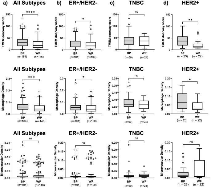 Fig. 3: Racial disparities in TMEM doorway score and macrophage density in treatment-naïve tissues.