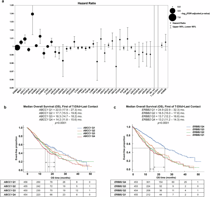 Fig. 2: Multivariate analysis using Cox-Proportional Regression Model in pre-treatment specimens identifies ABCC1 as highly associated with T-DXd associated overall survival.