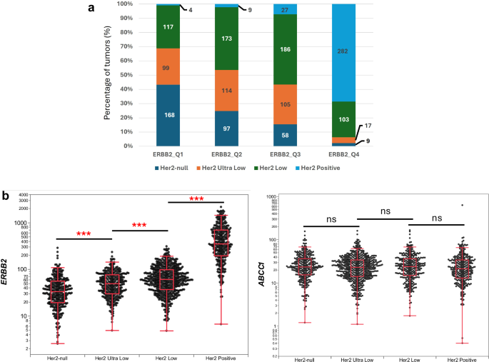 Fig. 3: ERBB2 and ABCC1 RNA expression according to HER2 status.