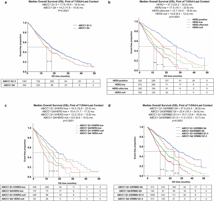 Fig. 4: Association of ABCC1 gene expression and HER2/ERBB2 with T-DXd associated overall survival.