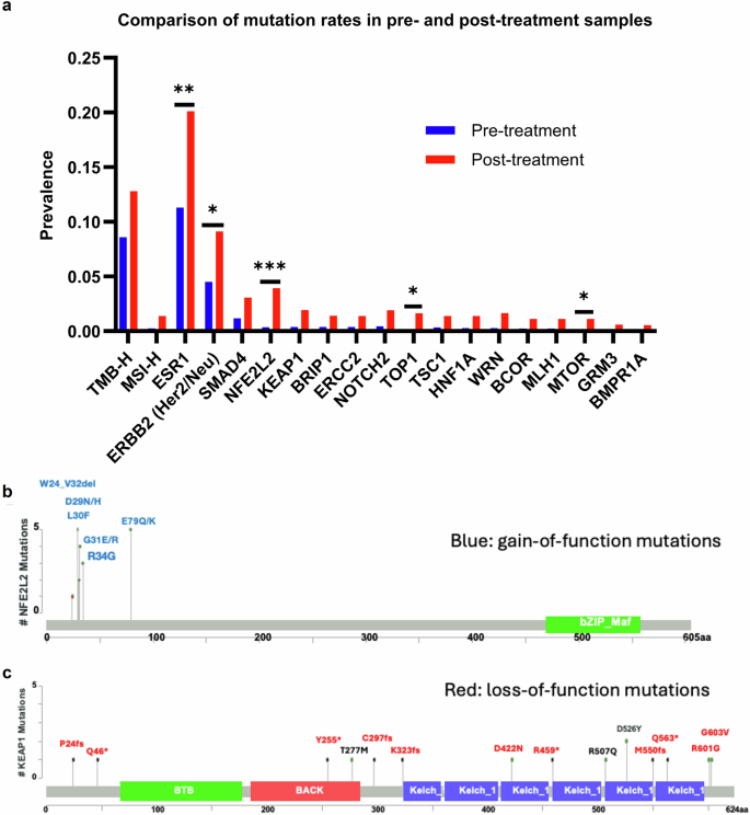 Fig. 5: Mutational events following T-DXd treatment.