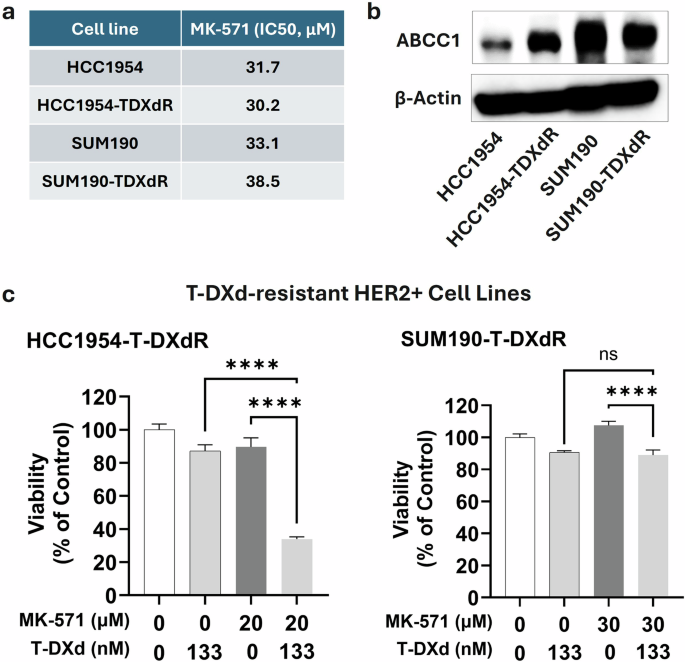 Fig. 6: Transporter inhibitor enhances the efficacy of T-DXd in ADC-resistant breast cancer cell lines.