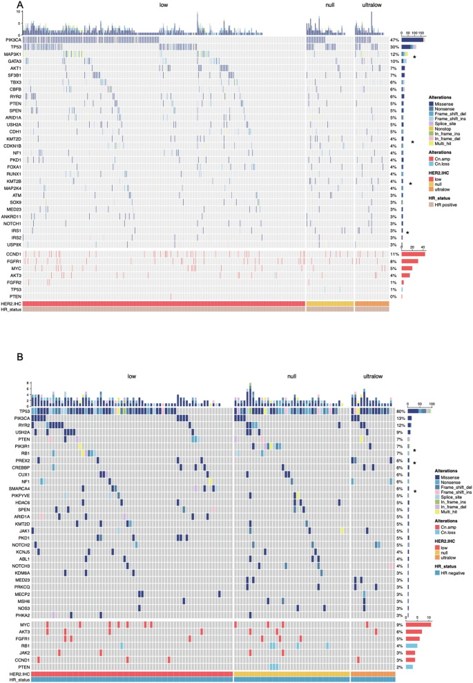 Fig. 4: Molecular landscape across three HER2 subgroups.