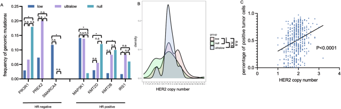 Fig. 5: Somatic mutation differences and HER2 copy number variations across three HER2 subgroups.