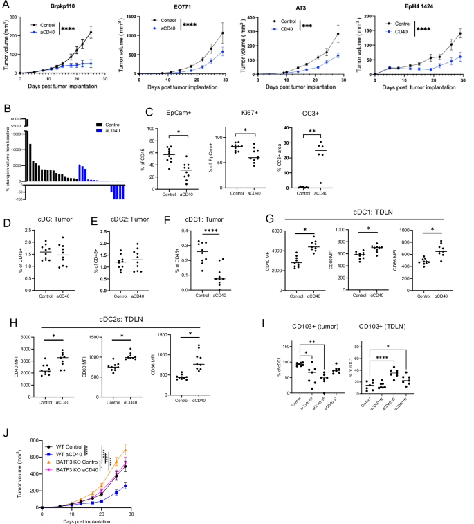 Fig. 1: aCD40 suppresses tumor growth via cDC1 activity.